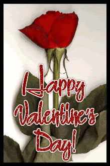Valentine Day Glitters 25