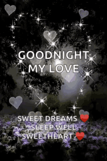 Goodnight my love love