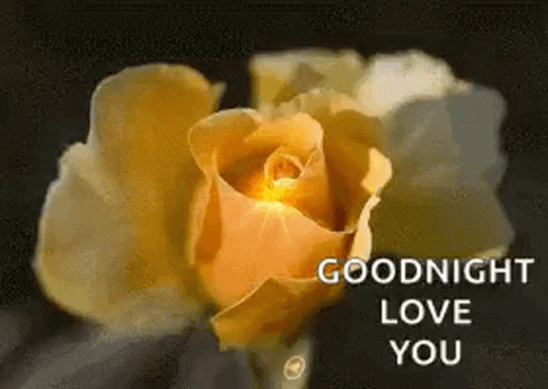 Goodnight sparkle