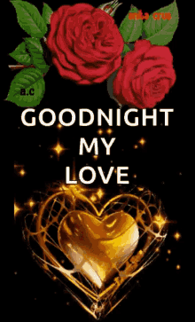 Goodnight sparkles