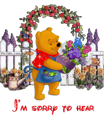 animaatjes-im-sorry-to-hear-2896900