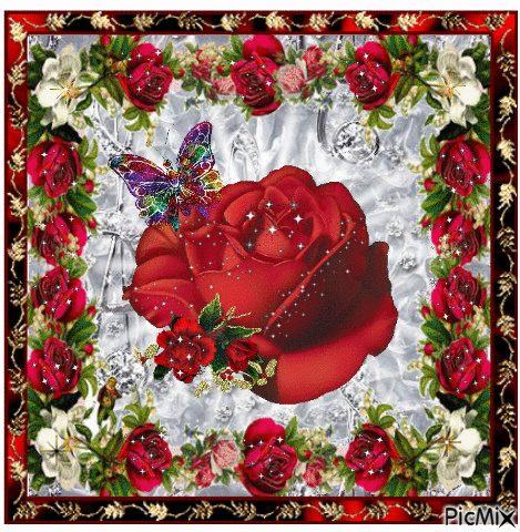 Rose Day Celebration5