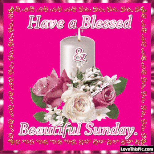 Happy Sunday 2