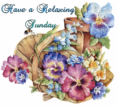 Happy Sunday 6