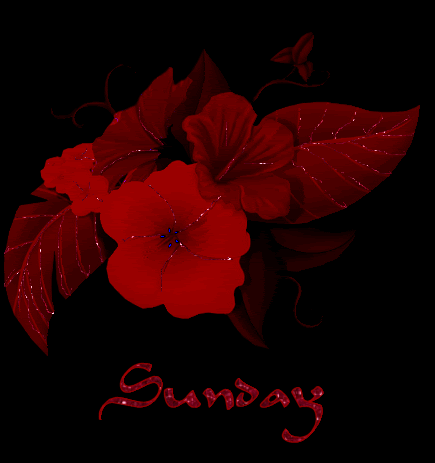 Happy Sunday Gifs2