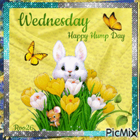 Happy Wonderful Wednesday Glitter Gifs2