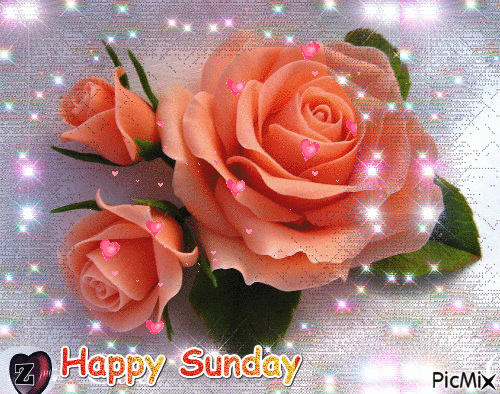Have A Sunny Sunday5
