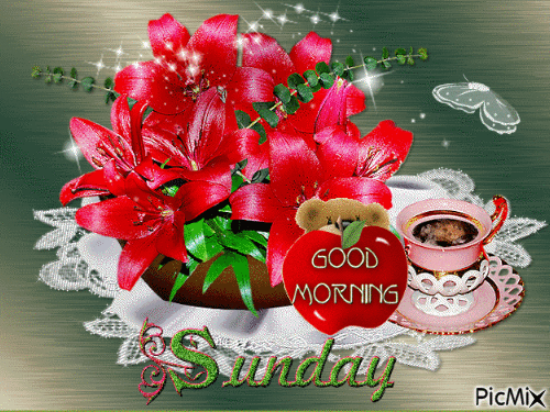 Animated Sunday Gifs9