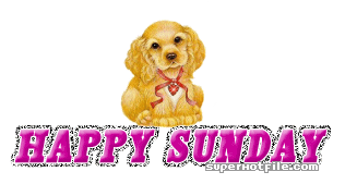 Animated Sunday Glitter4