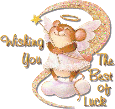 Best Of Luck Glitter Gif8