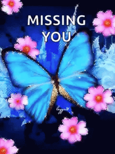 Missing You Butterfly