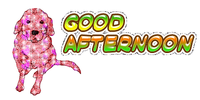 Good Afternoon With Dog Sparkling Image