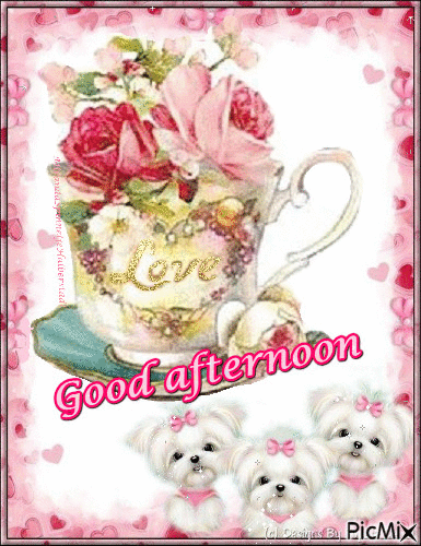 White Puppy Good Afternoon Gif