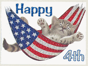 2019 Happy 4th Kitten