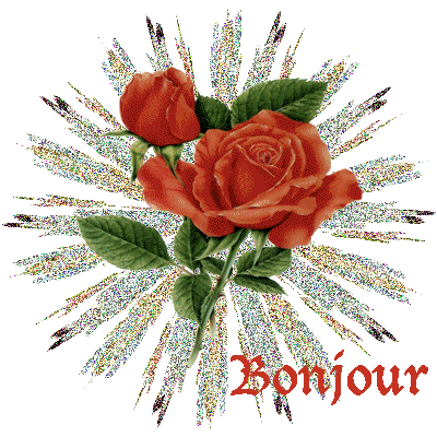 Bonjour Glitter Gifs 4