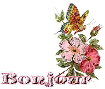 Bonjour Glitter Gifs 9