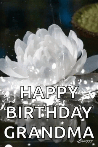 Happy Birthday Grandma 5