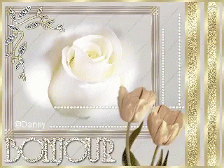 Bonjour Rose