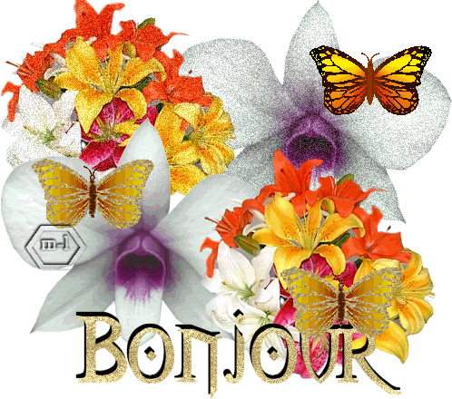 Hi Bonjour Glitter Gifs 3